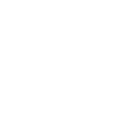 lungs